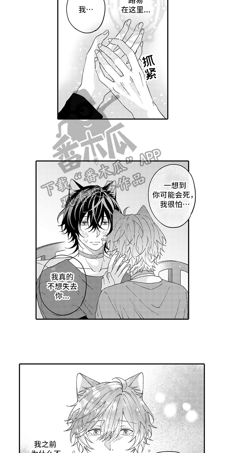 猫咪之家漫画,第20章：求救1图