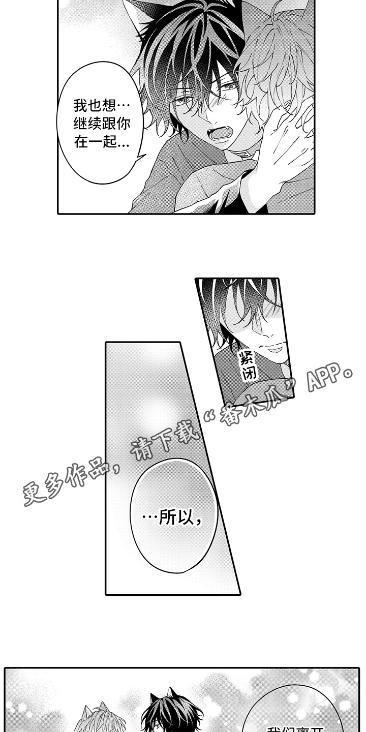 猫咪之家漫画,第16章：私奔1图