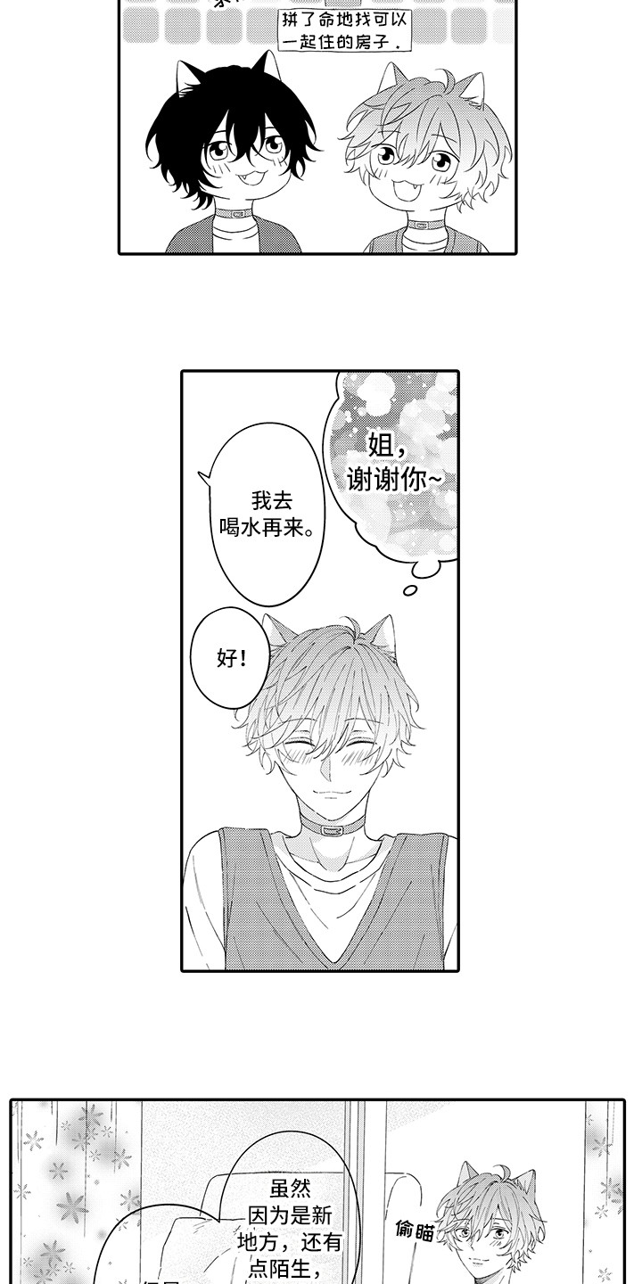猫咪之家漫画,第22章：新家2图