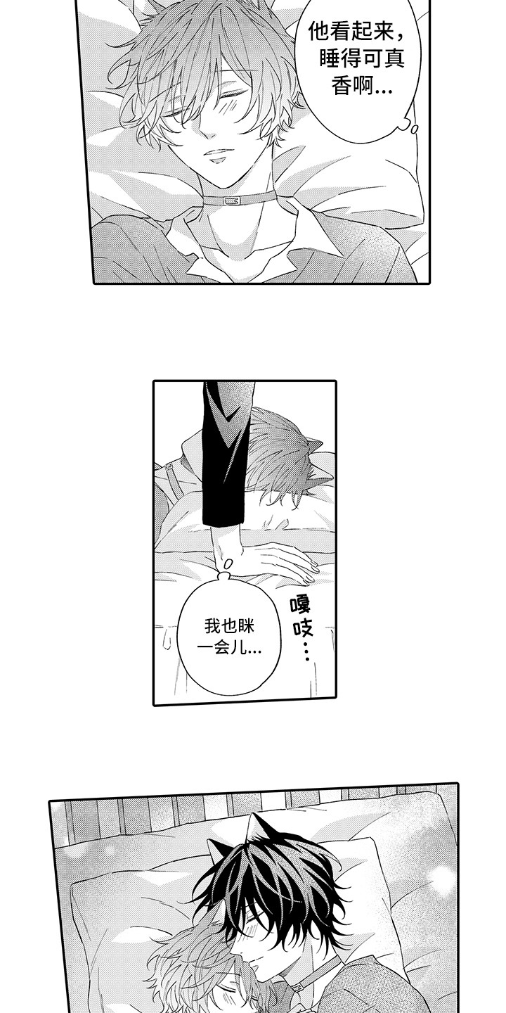 猫咪之家漫画,第14章：睡着了2图
