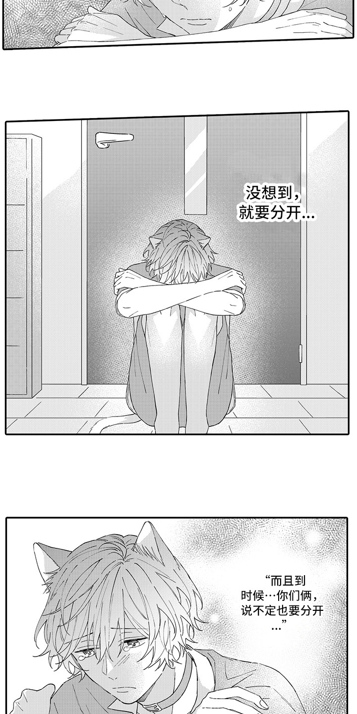 猫咪之家漫画,第15章：坏消息2图