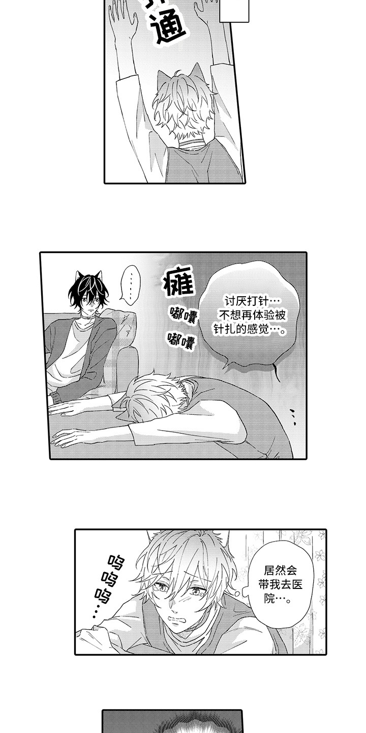 猫咪之家漫画,第2章：好胜心2图