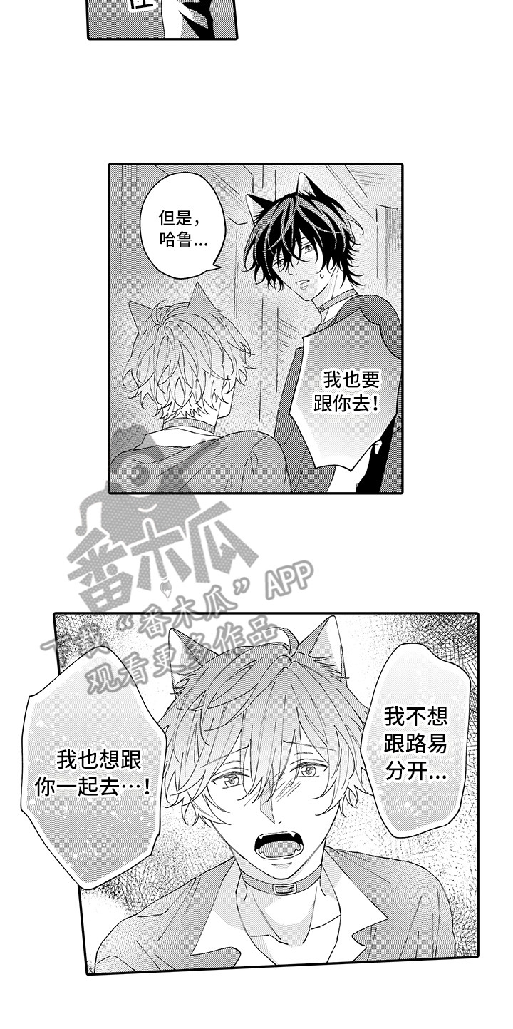 猫咪之家漫画,第16章：私奔1图
