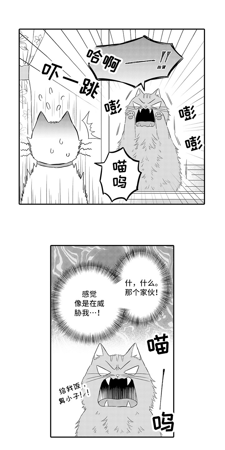 猫咪之家漫画,第8章：不再讨厌2图