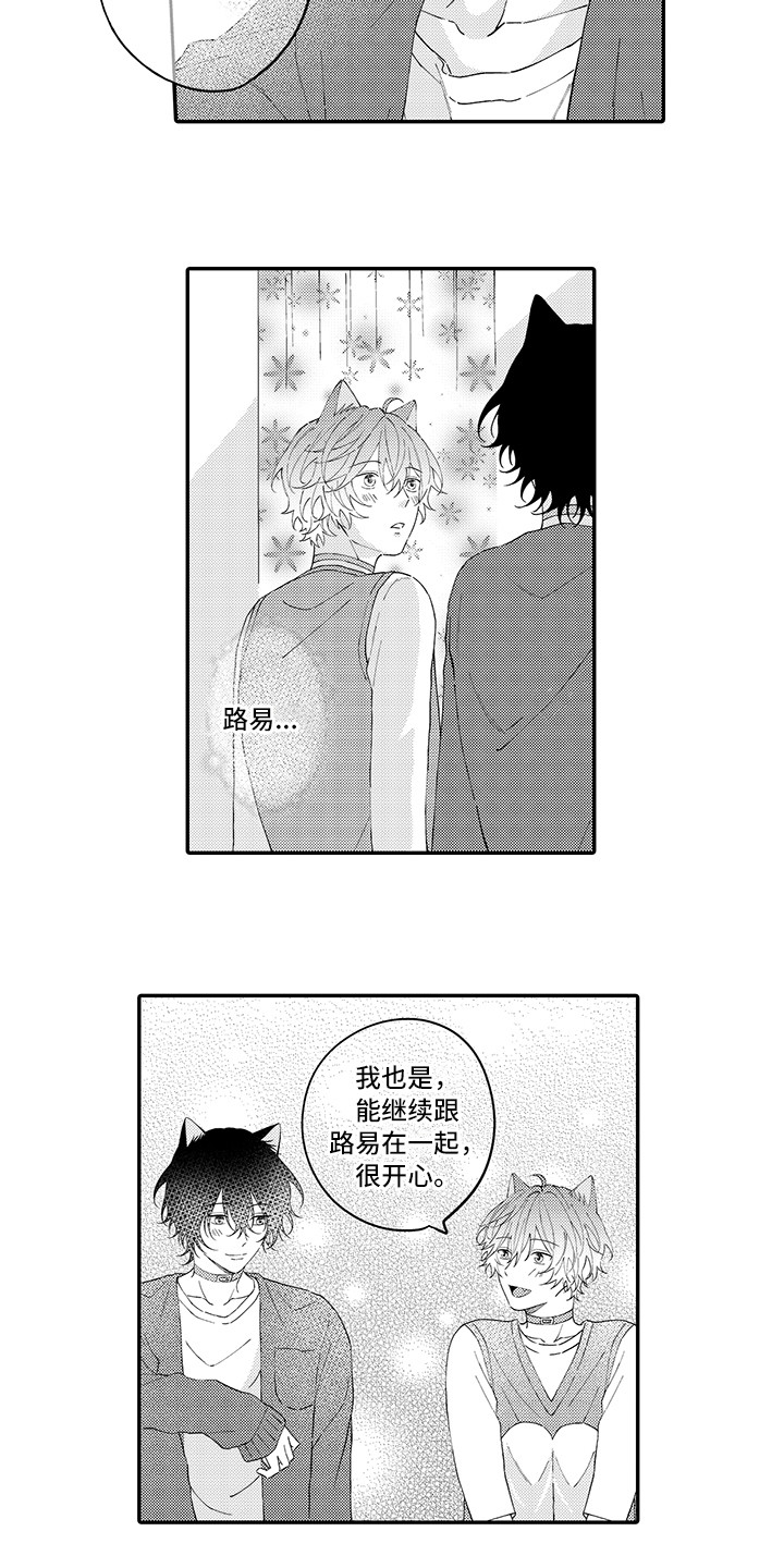 猫咪之家漫画,第22章：新家2图