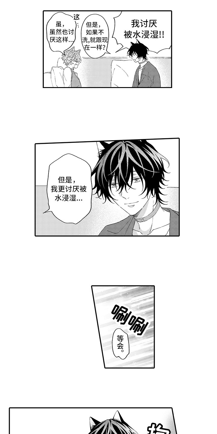 猫咪之家漫画,第12章：怕水2图