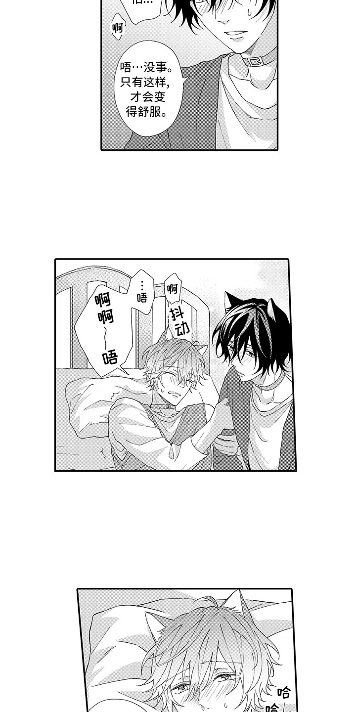 猫咪之家漫画,第4章：照顾2图