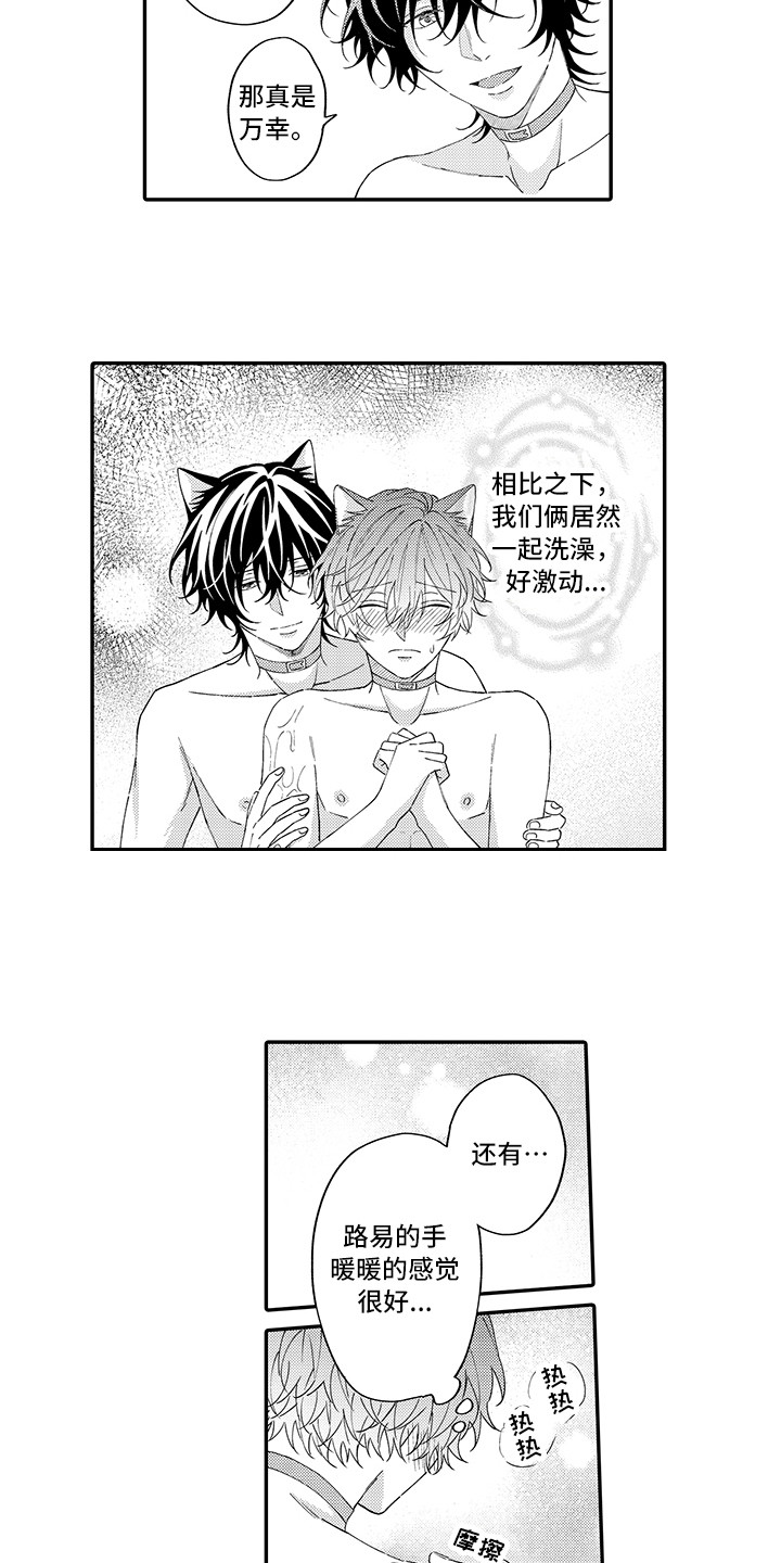 猫咪之家漫画,第13章：洗一洗2图