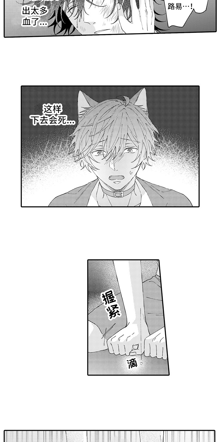 猫咪之家漫画,第18章：受伤了2图