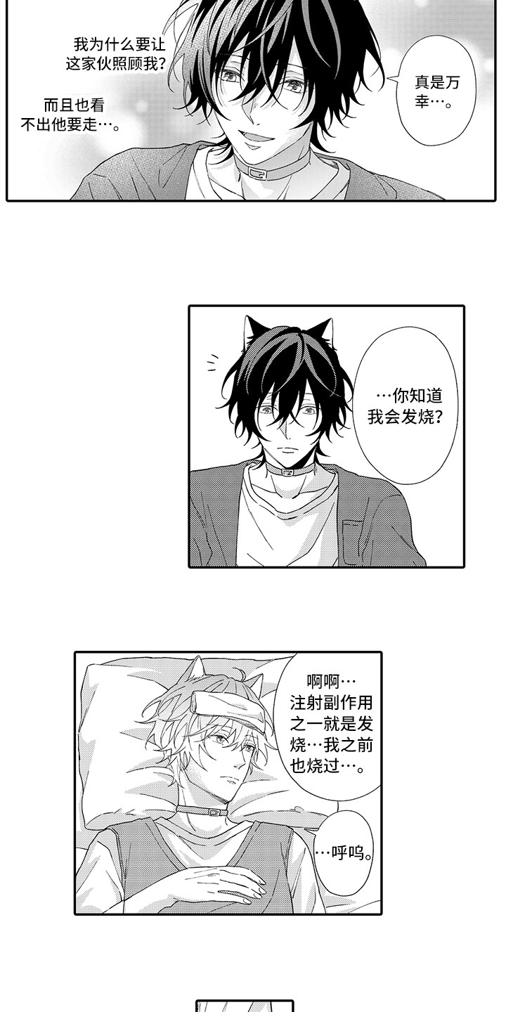 猫咪之家漫画,第3章：发烧2图