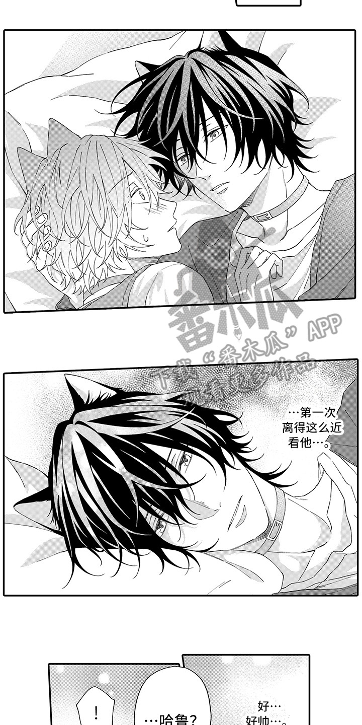 猫咪之家漫画,第9章：心跳加快1图