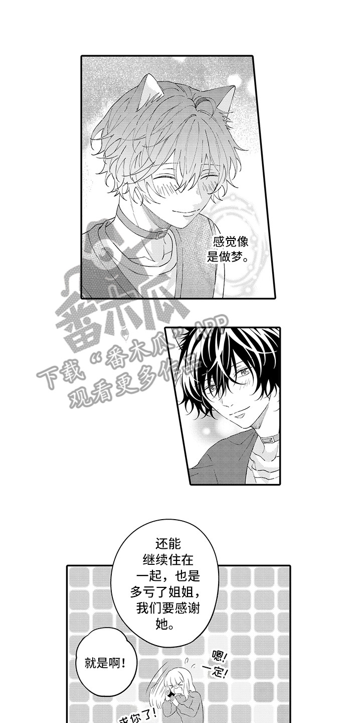 猫咪之家漫画,第22章：新家1图