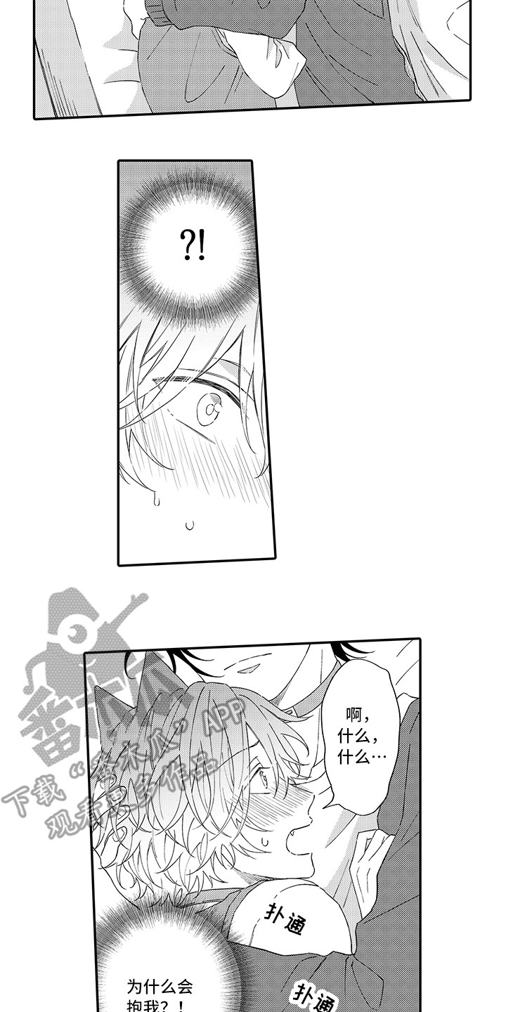猫咪之家漫画,第9章：心跳加快1图