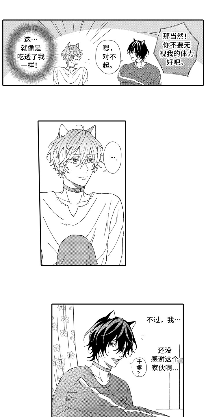 猫咪之家漫画,第5章：倾诉2图