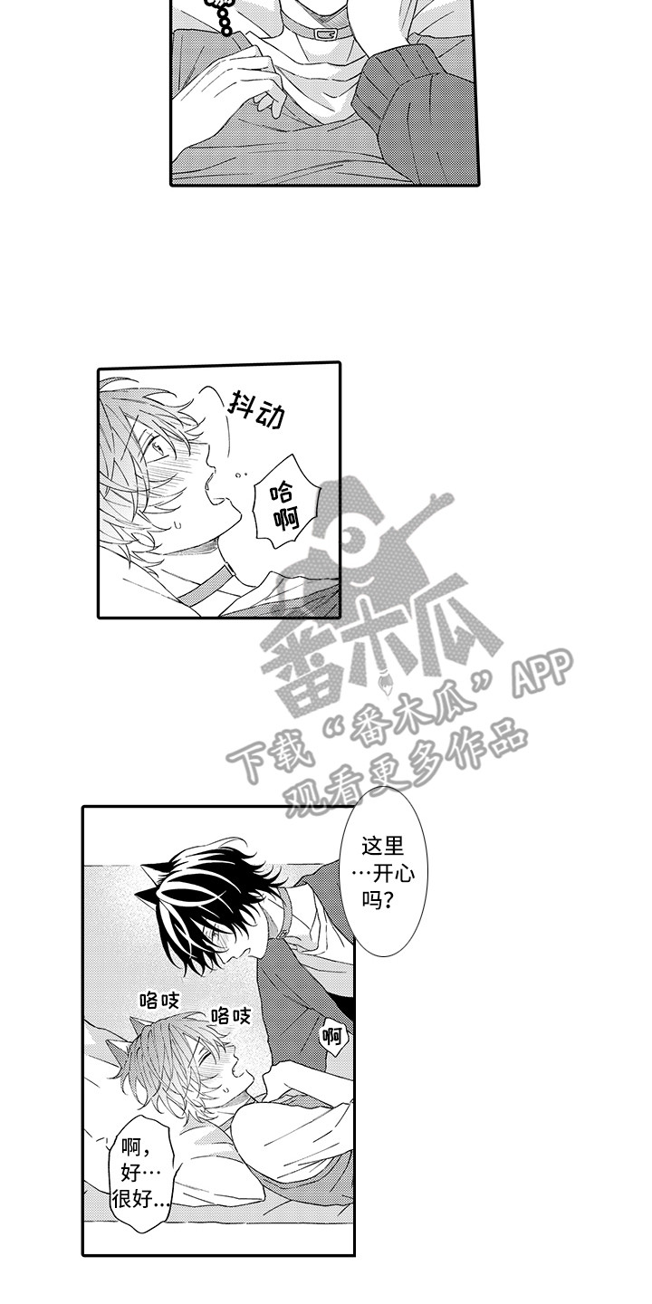 猫咪之家漫画,第11章：很开心1图