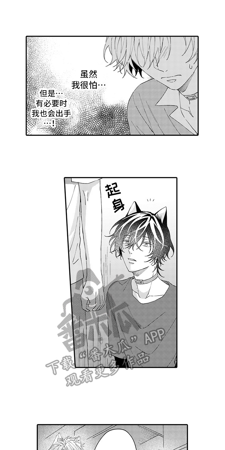 猫咪之家漫画,第17章：保护1图