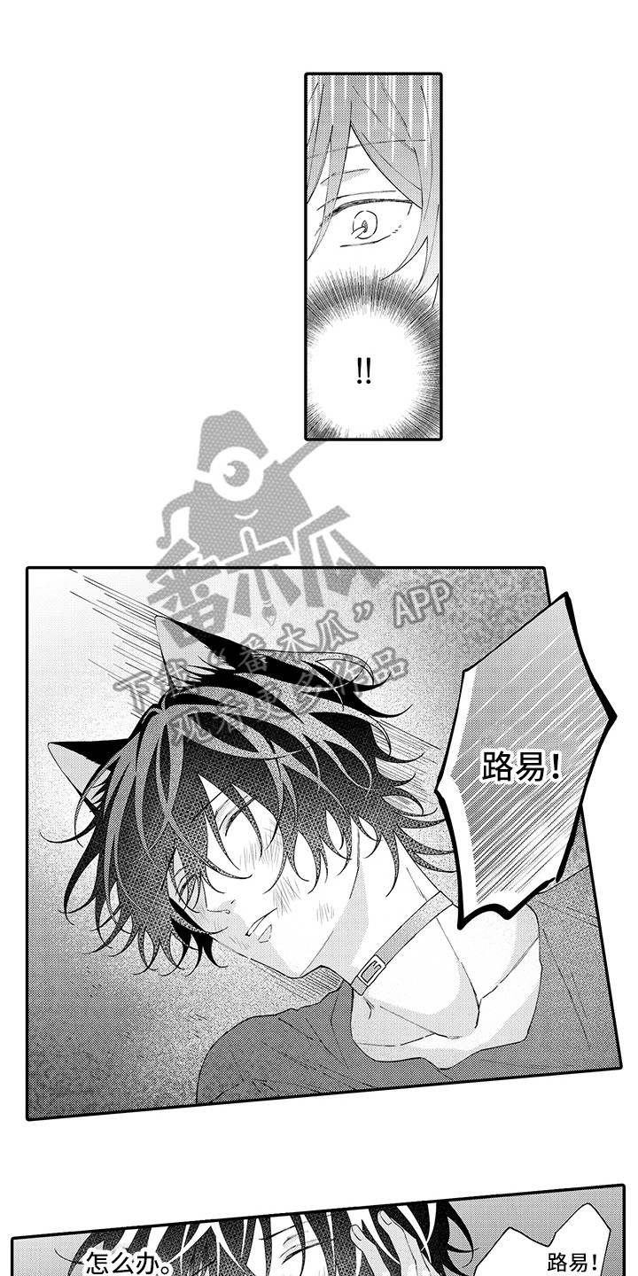猫咪之家漫画,第18章：受伤了1图