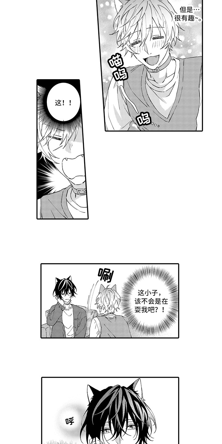 猫咪之家漫画,第2章：好胜心1图
