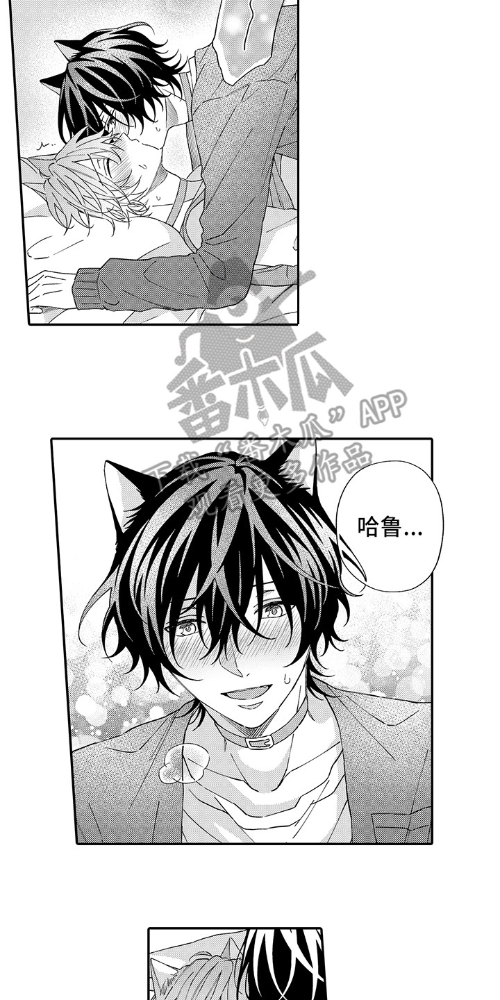 猫咪之家漫画,第11章：很开心1图