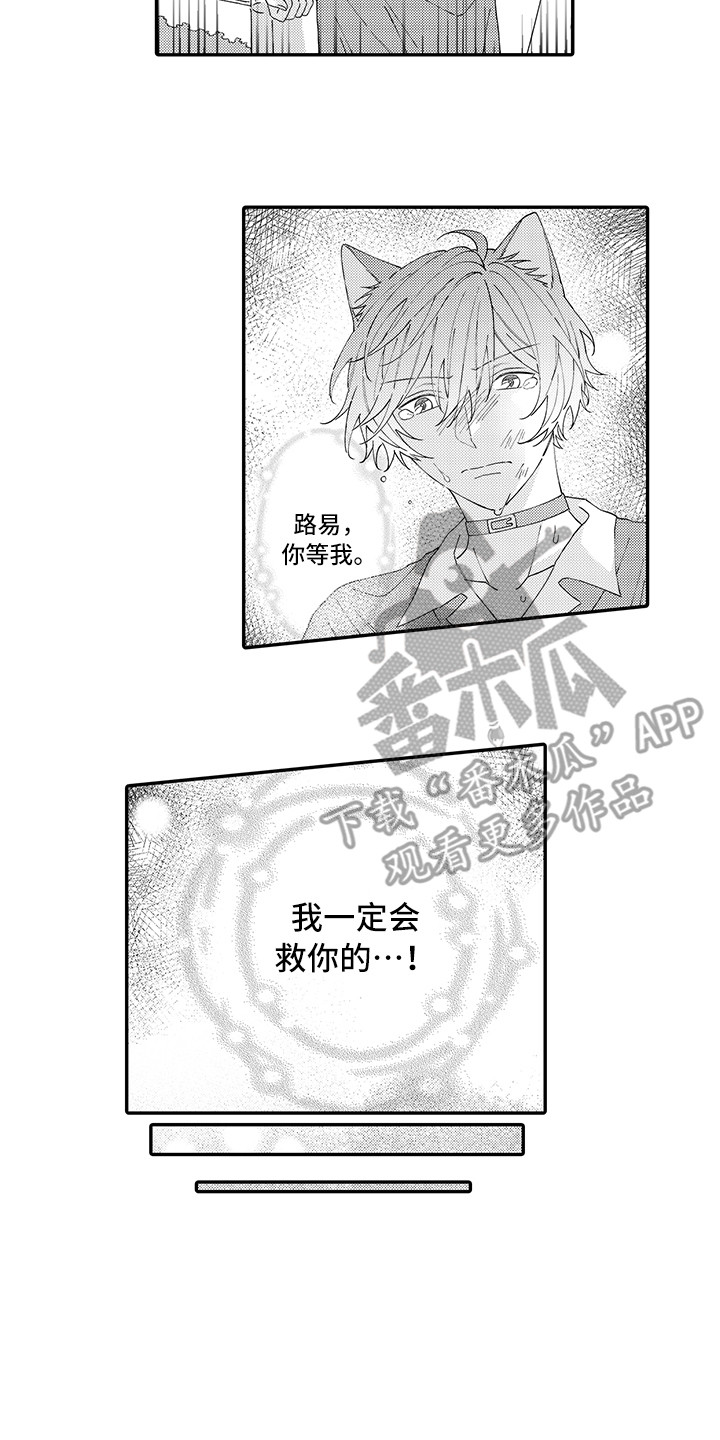 猫咪之家漫画,第19章：急切1图