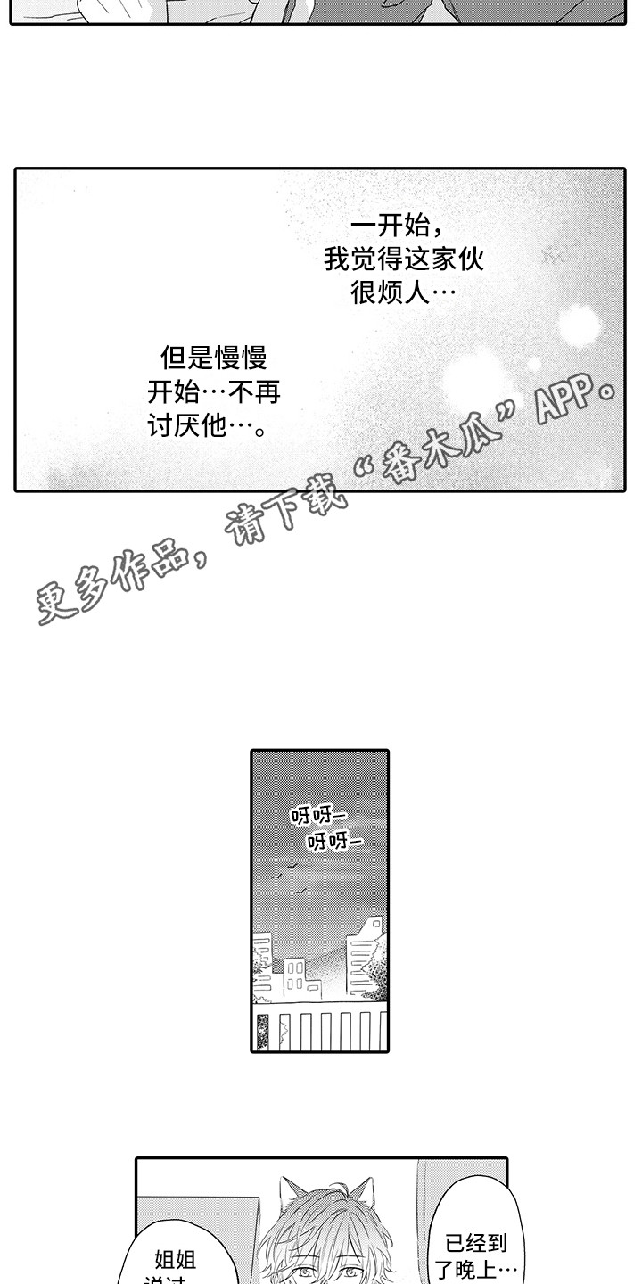 猫咪之家漫画,第8章：不再讨厌1图
