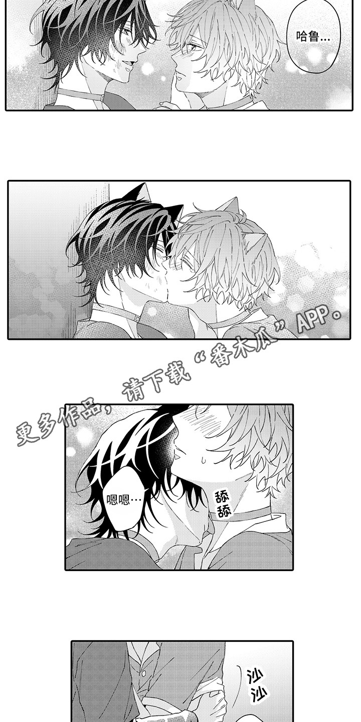 猫咪之家漫画,第18章：受伤了1图