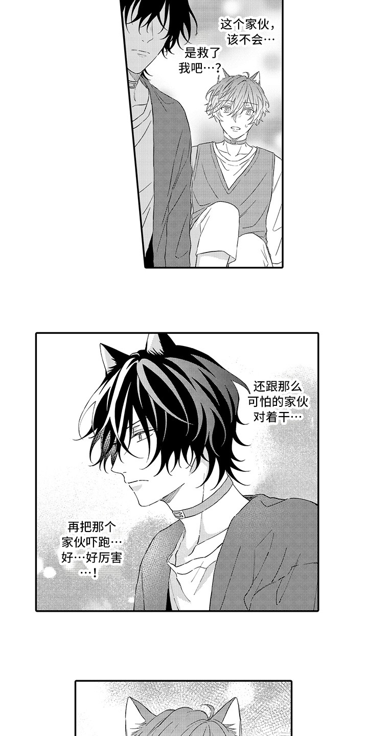 猫咪之家漫画,第9章：心跳加快2图