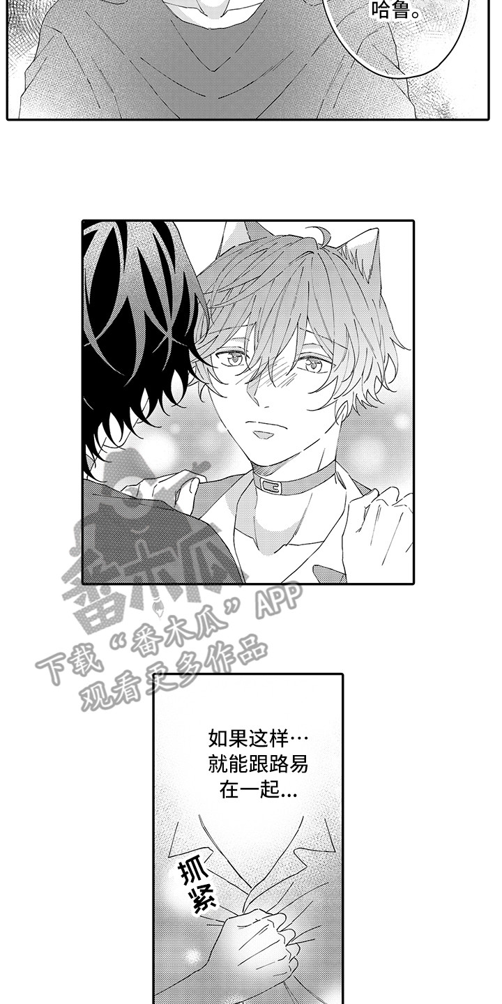 猫咪之家漫画,第16章：私奔1图