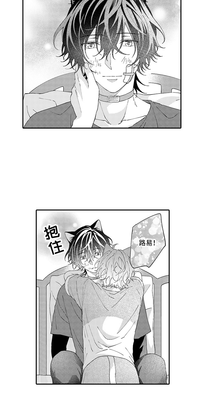 猫咪之家漫画,第20章：求救2图