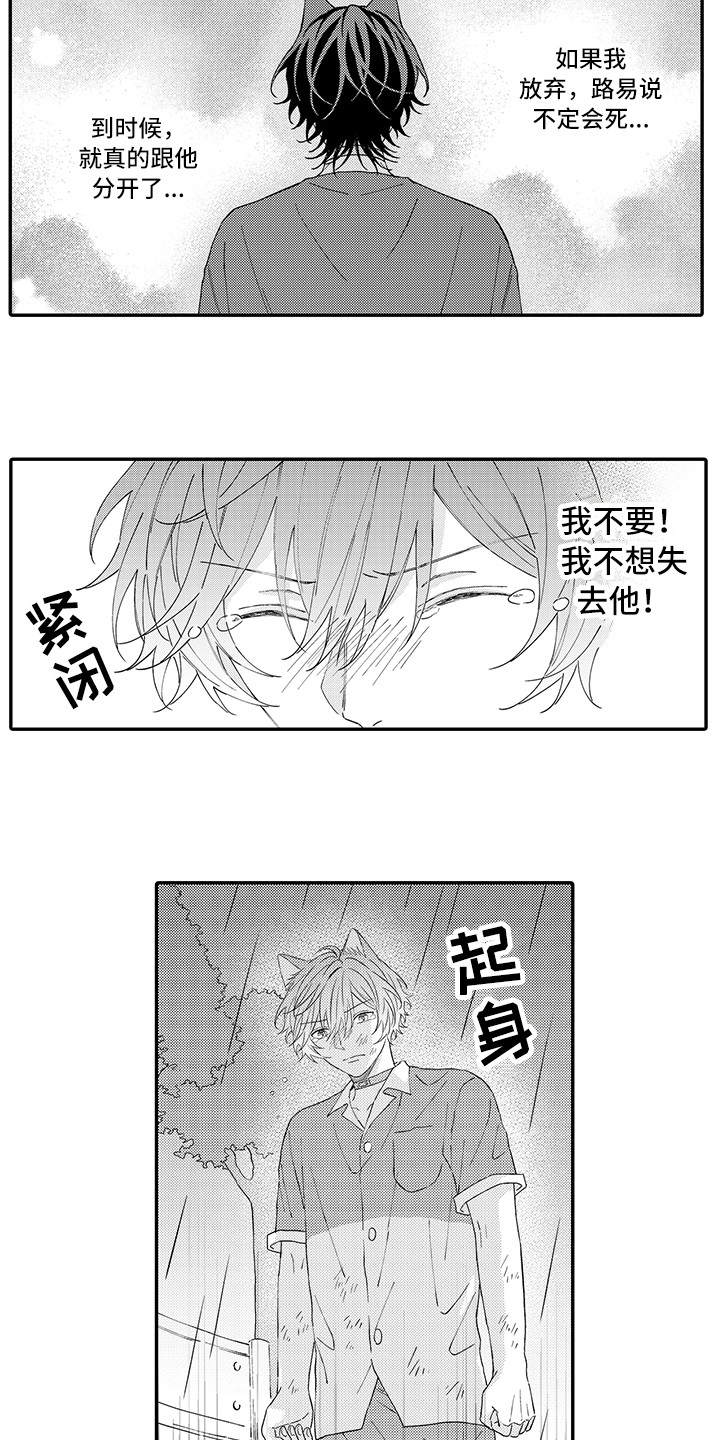 猫咪之家漫画,第19章：急切2图