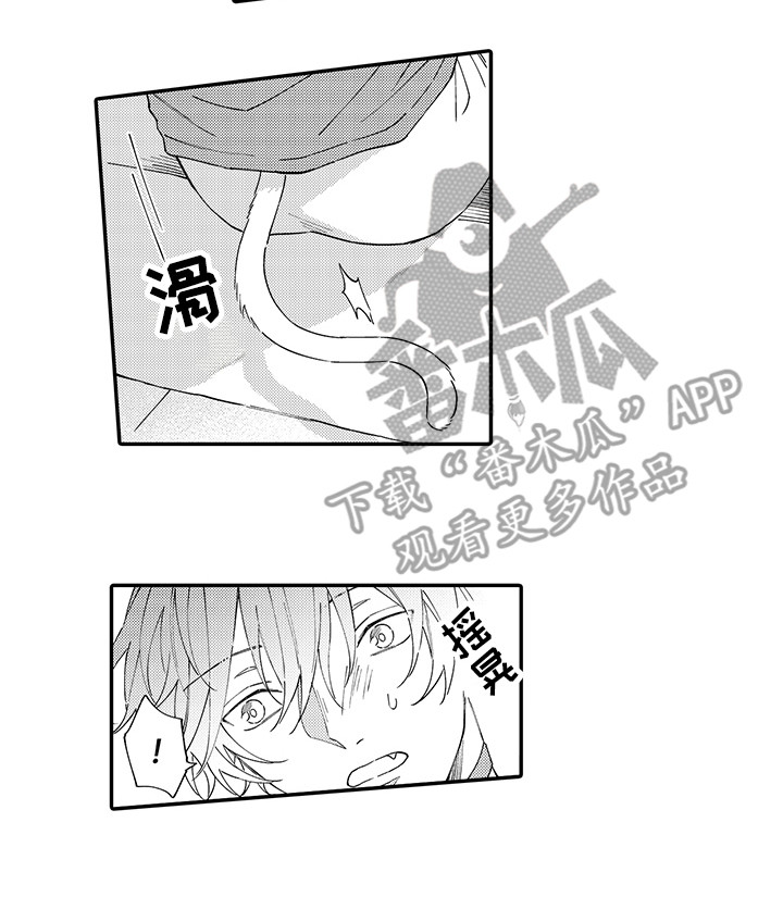 猫咪之家漫画,第9章：心跳加快1图