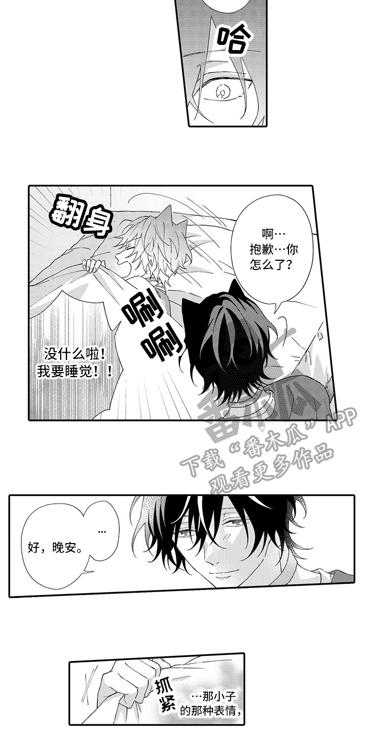 猫咪之家漫画,第4章：照顾1图