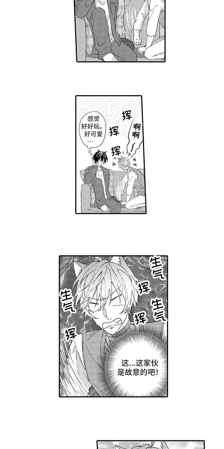 猫咪之家漫画,第2章：好胜心2图