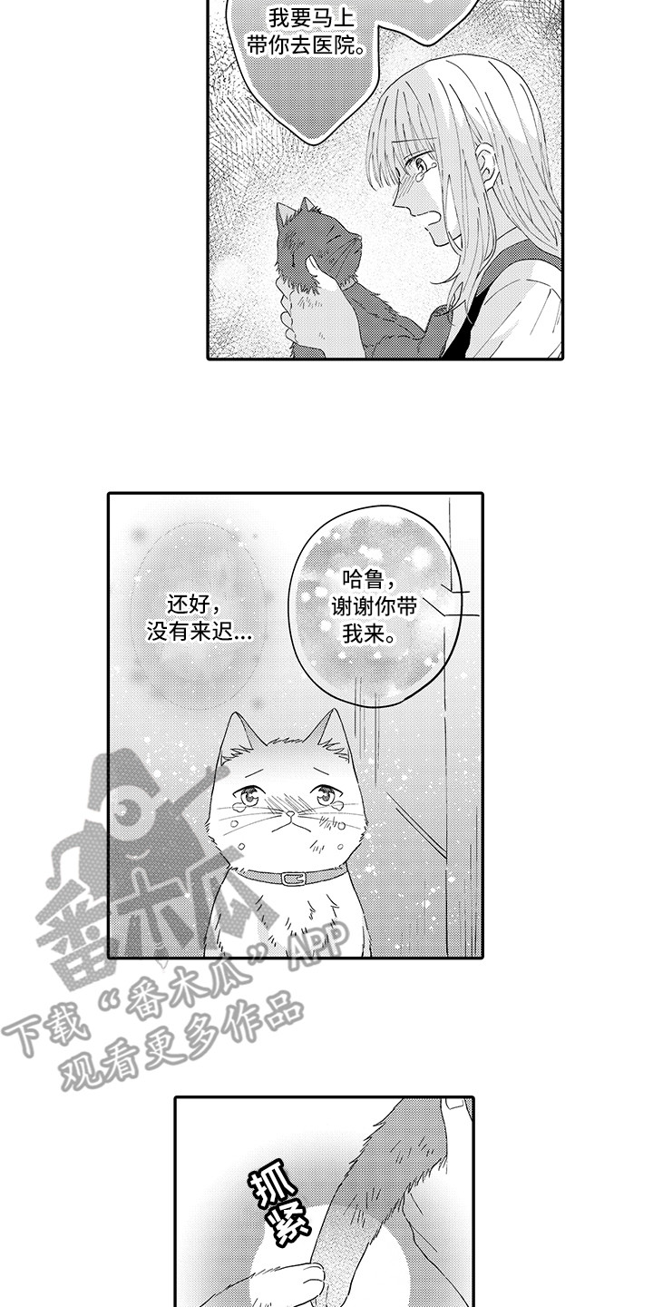 猫咪之家漫画,第20章：求救1图