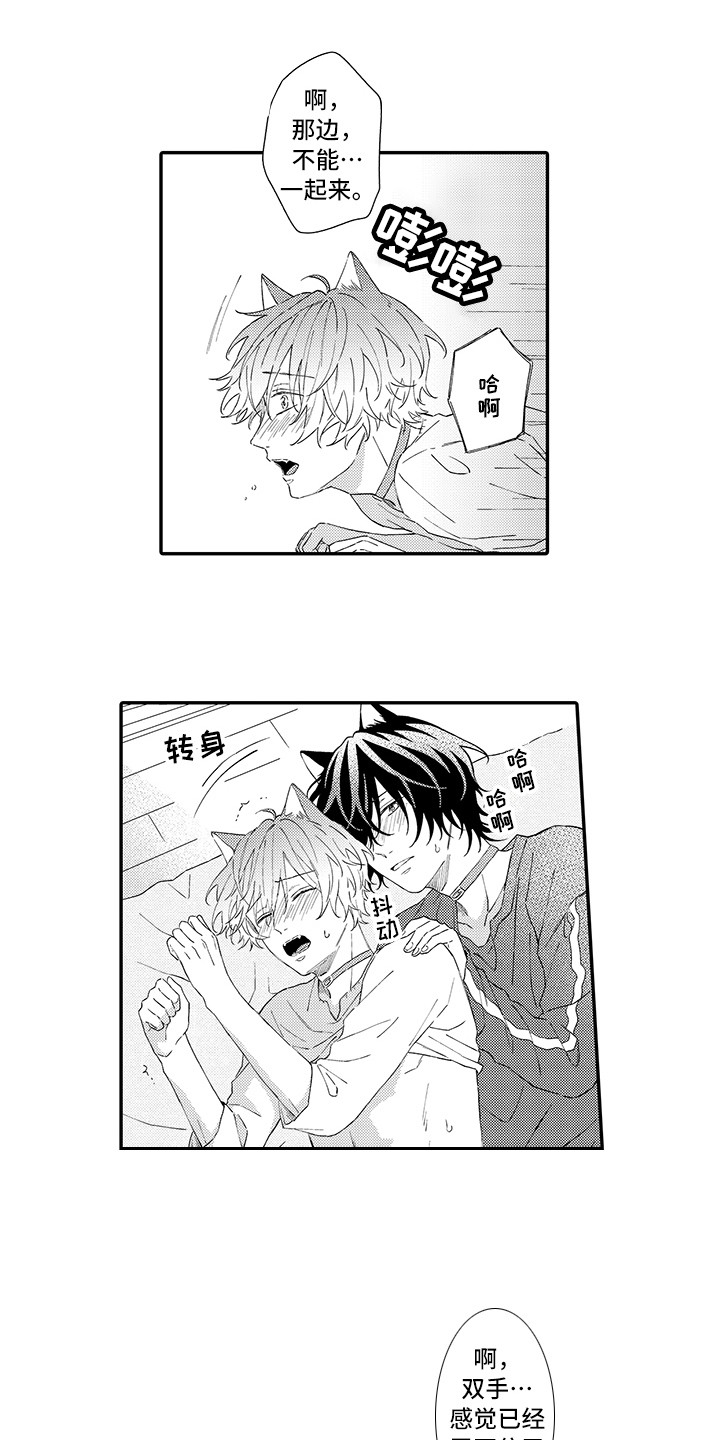 猫咪之家漫画,第8章：不再讨厌2图