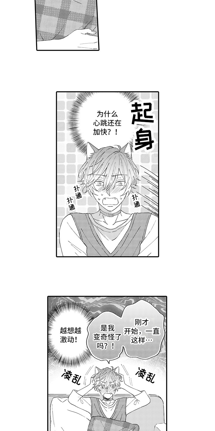猫咪之家漫画,第9章：心跳加快2图
