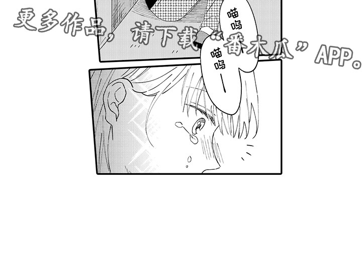 猫咪之家漫画,第19章：急切1图