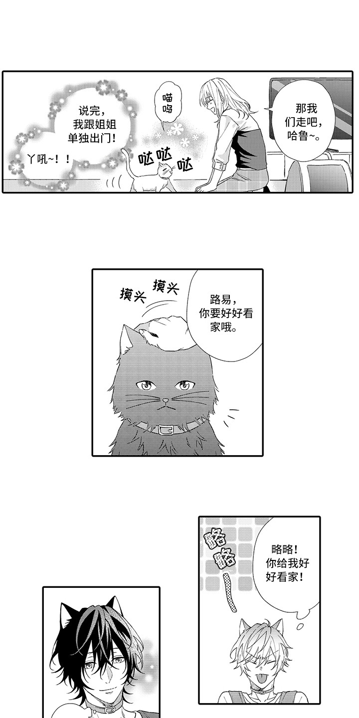 猫咪之家漫画,第2章：好胜心2图