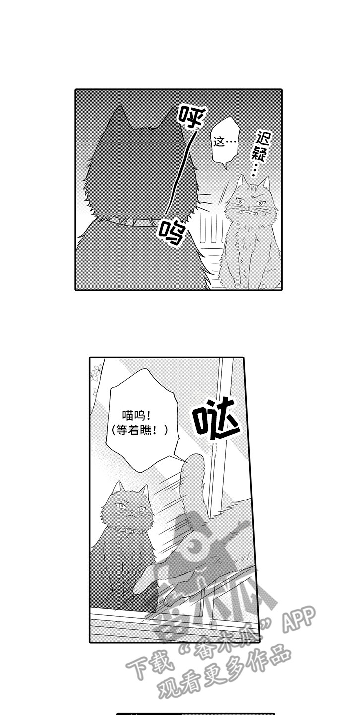 猫咪之家漫画,第9章：心跳加快1图