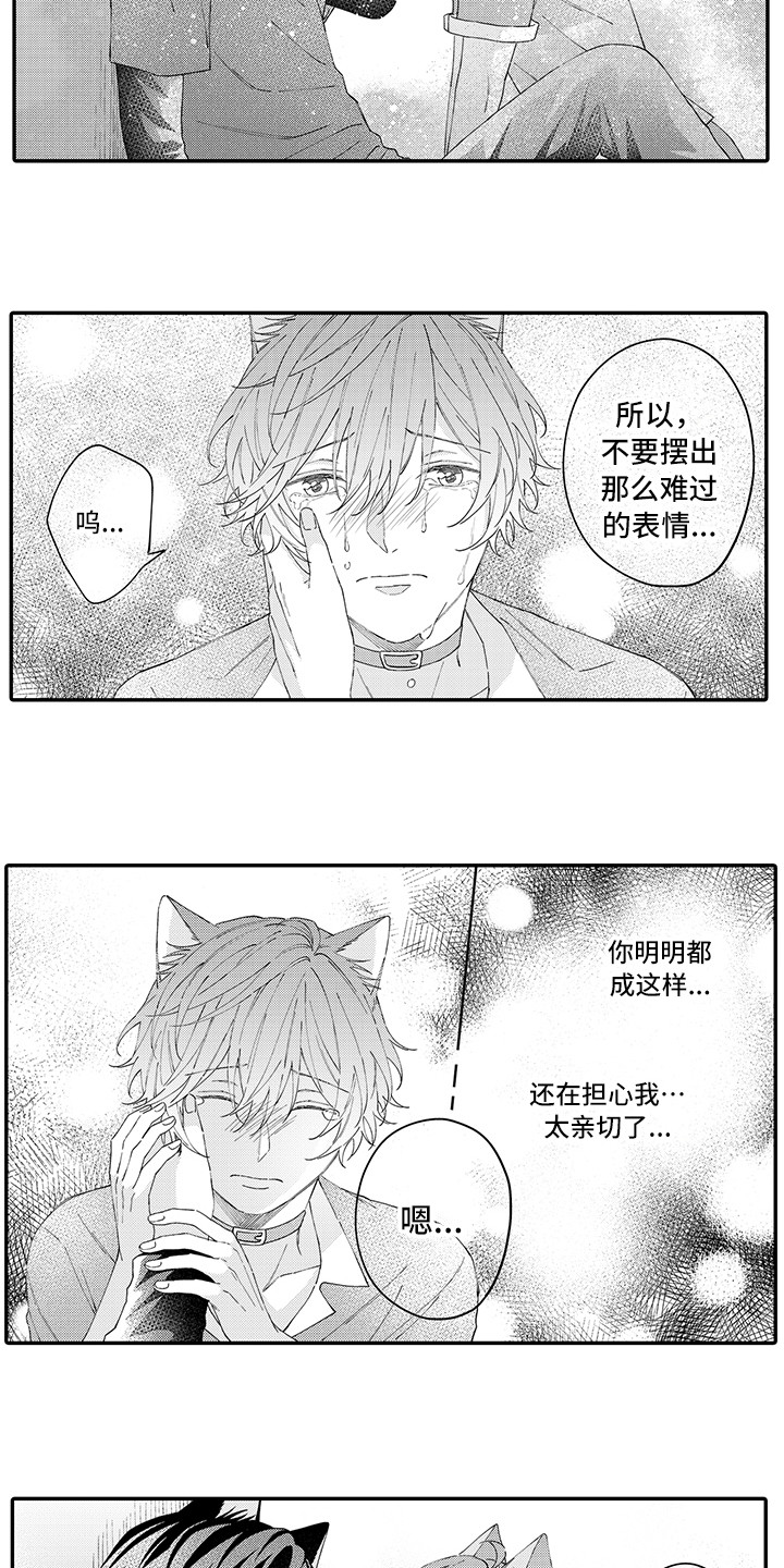 猫咪之家漫画,第18章：受伤了2图