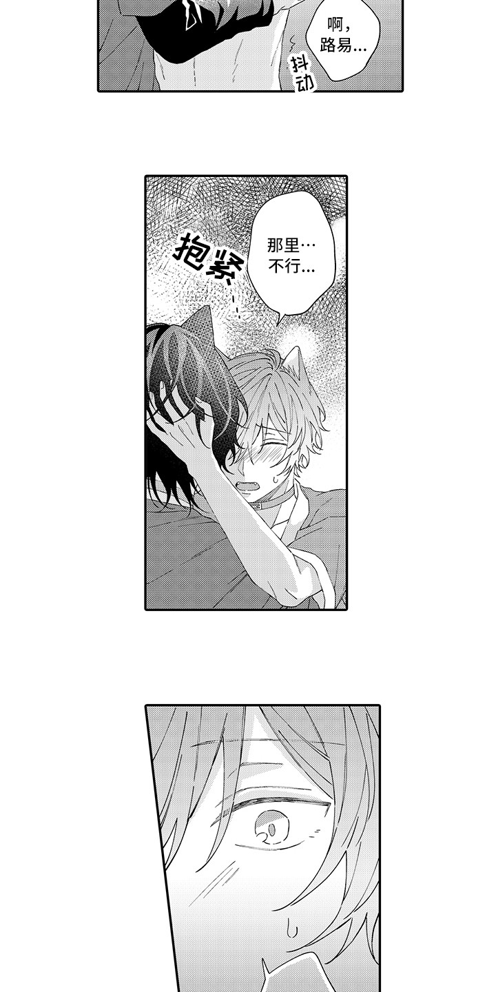 猫咪之家漫画,第18章：受伤了2图