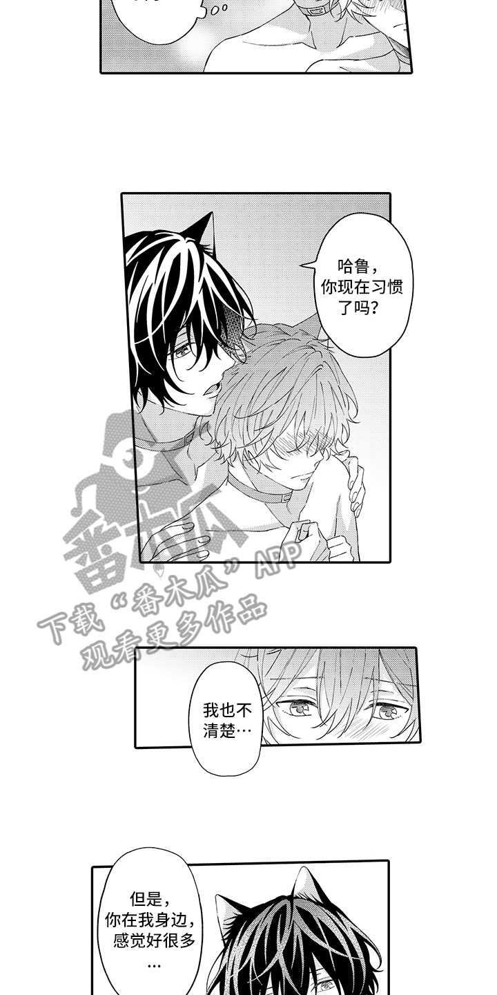 猫咪之家漫画,第13章：洗一洗1图