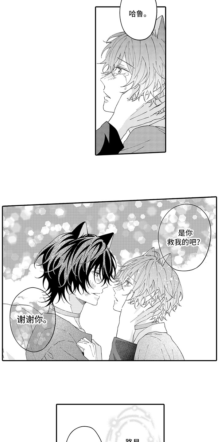 猫咪之家漫画,第20章：求救2图