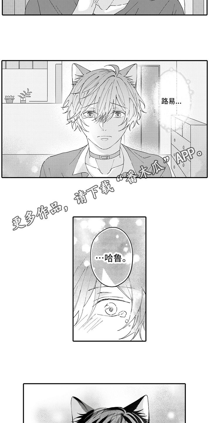 猫咪之家漫画,第20章：求救1图