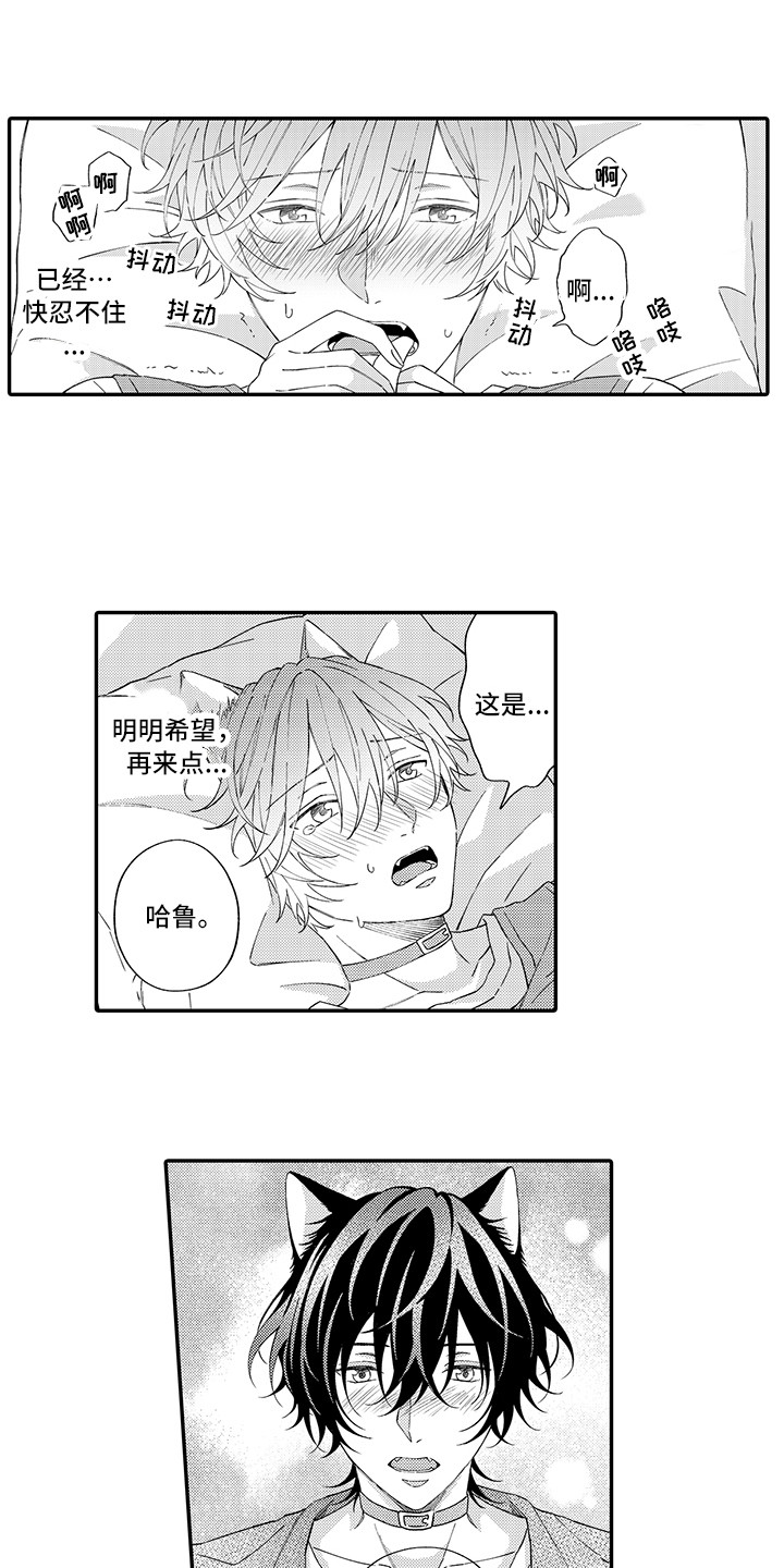 猫咪之家漫画,第11章：很开心2图