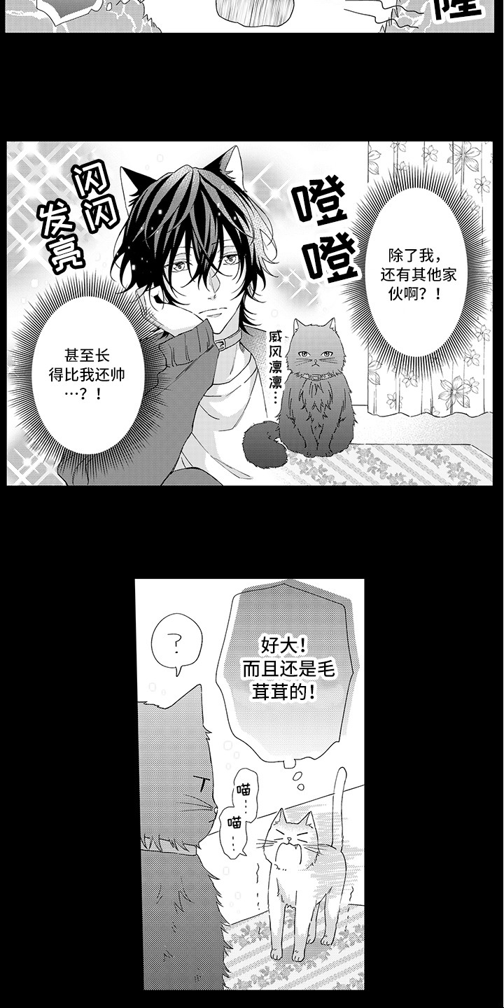 猫咪之家漫画,第1章：两只小猫2图