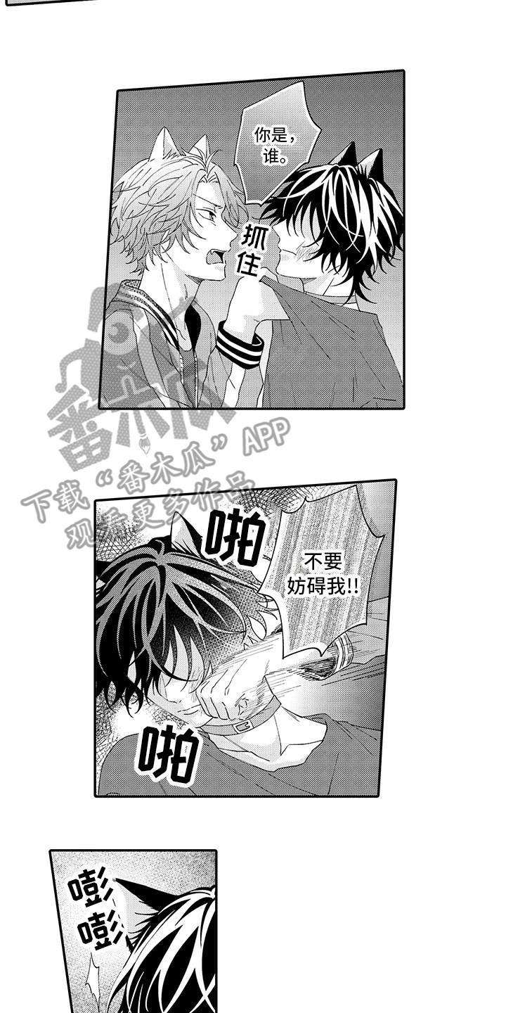 猫咪之家漫画,第17章：保护1图