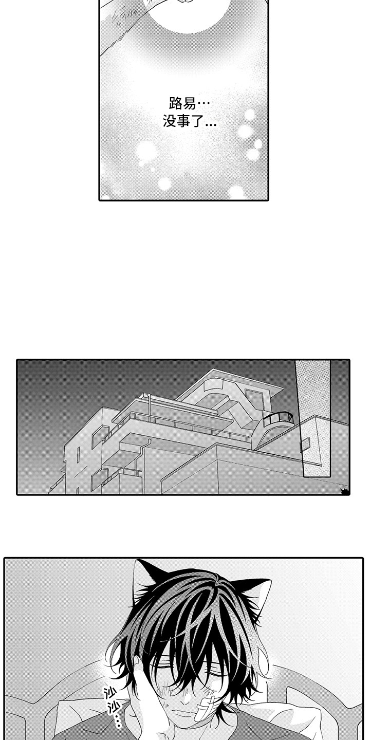 猫咪之家漫画,第20章：求救2图