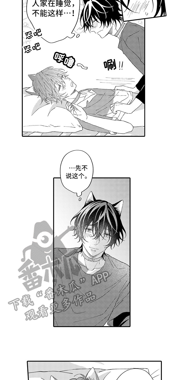 猫咪之家漫画,第14章：睡着了1图