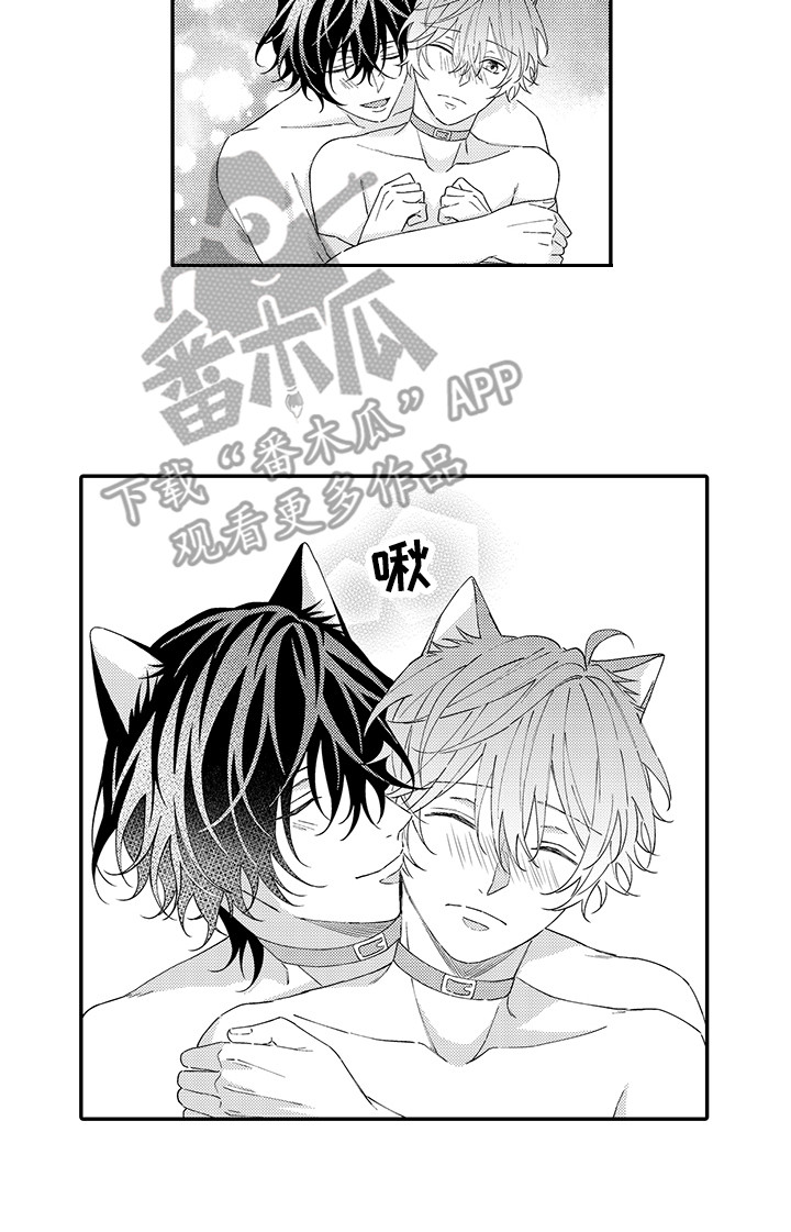 猫咪之家漫画,第12章：怕水1图